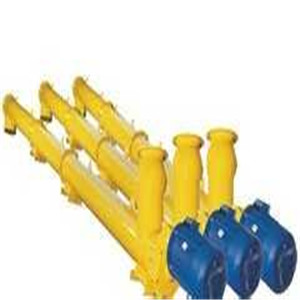 �����C����